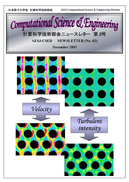 第2号 - 日本原子力学会 計算科学技術部会