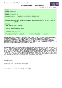 科学研究費助成事業 研究成果報告書 - KAKEN