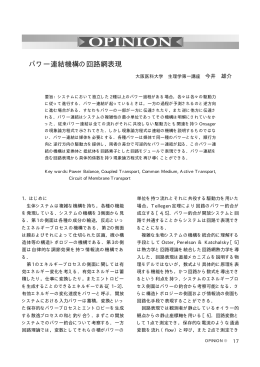 パワー連結機構の回路網表現 (今井 雄介)