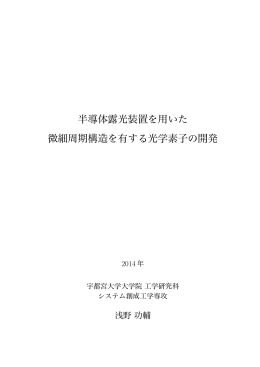 半導体露光装置を用いた 微細周期構造を有する光学素子の開発