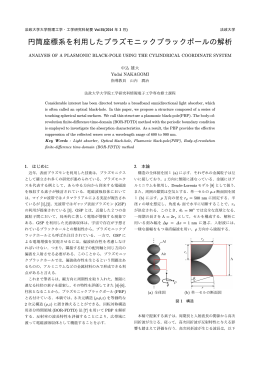 円筒座標系を利用したプラズモニックブラックポールの解析