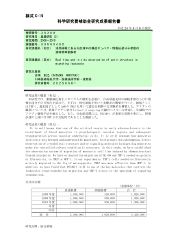 様式 C-19 科学研究費補助金研究成果報告書 - KAKEN