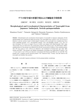 ブリの好中球の形態学的および細胞化学的特徴