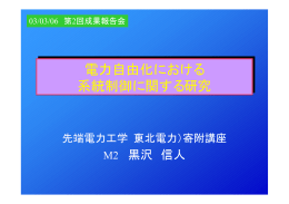 電力自由化における系統制御に関する研究