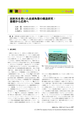 放射光を用いた皮膚角層の構造研究： 基礎から応用へ