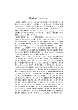 Surface Category
