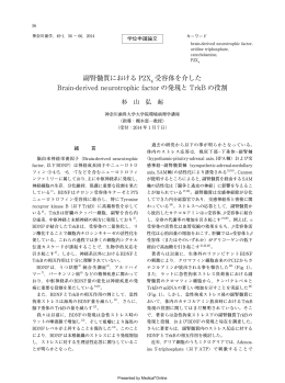 副腎髄質における P2X4受容体を介した BDNF の発現と TrkB の役割