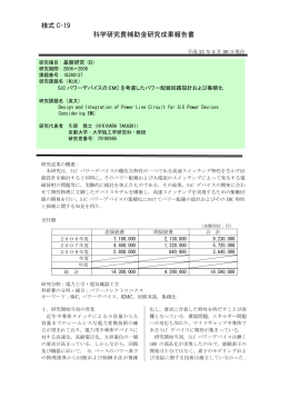 様式 C-19 科学研究費補助金研究成果報告書