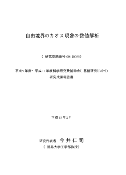 自由境界のカオス現象の数値解析