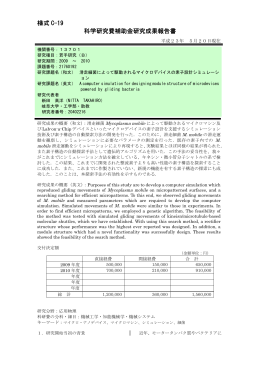 様式 C-19 科学研究費補助金研究成果報告書 - KAKEN