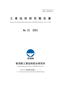 工 業 技 術 研 究 報 告 書