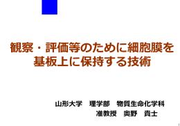 当日配布資料（1.61MB）