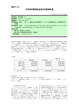 様式 C-19 科学研究費補助金研究成果報告書 - KAKEN