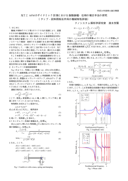光てこAFMのダイナミック計測における振動振幅・位相の補正手法の研究