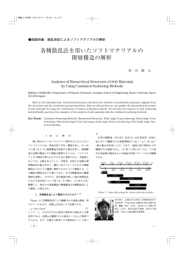 各種散乱法を用いたソフトマテリアルの 階層構造の解析