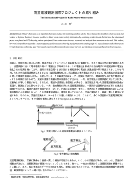 流星電波観測国際プロジェクトの取り組み - Radio Meteor Observation