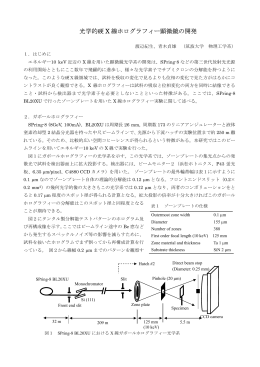 光学的硬 X 線ホログラフィー顕微鏡の開発