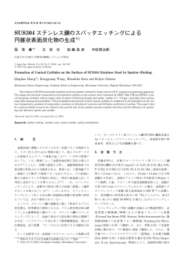 SUS304 ステンレス鋼のスパッタエッチングによる 円錐状表面炭化物の