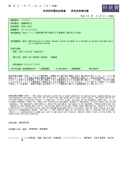 科学研究費助成事業 研究成果報告書 - KAKEN