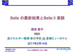 Belle の最新結果とBelle II 実験