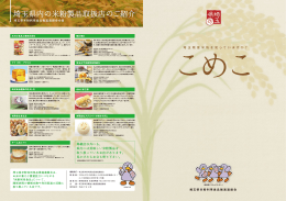 ダウンロードはここをクリック（PDF：1916KB）