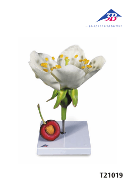 T21019 - Fisher Scientific