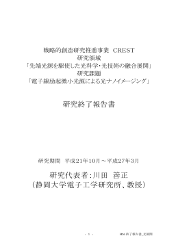 電子線励起微小光源による光ナノイメージング