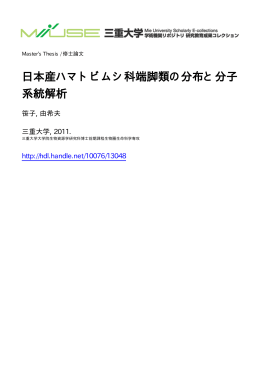 ファイルを開く - MIUSE