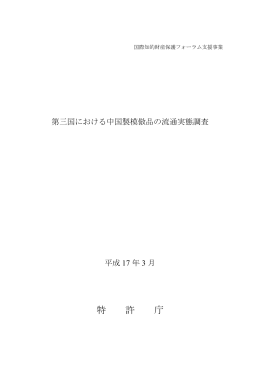 第三国における中国製模倣品の流通実態調査