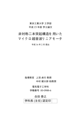 非対称二本突起構造を用いた マイクロ超音波リニア