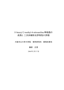 修士論文 (Download PDF / 2.9MB)