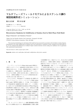 マルチフェーズフィールドモデルによるステンレス鋼の