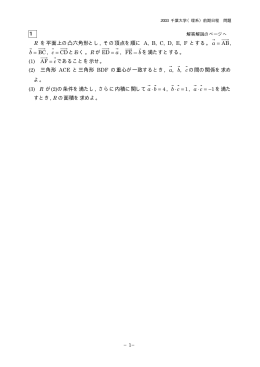 解答例＋引用題PDF