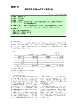 様式 C-19 科学研究費補助金研究成果報告書