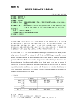 様式 C-19 科学研究費補助金研究成果報告書