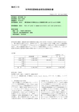 様式 C-19 科学研究費補助金研究成果報告書