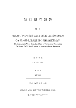 特 別 研 究 報 告