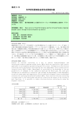 様式 C-19 科学研究費補助金研究成果報告書