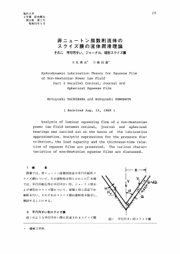 非ニュートン指数則流体の スクイズ膜の流体潤滑理論