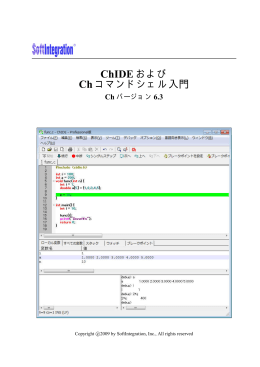 ChIDE マニュアル