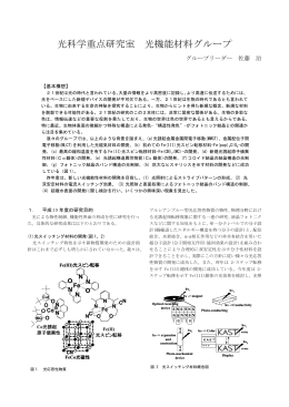 光科学重点研究室 光機能材料グループ