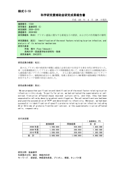 様式 C-19 科学研究費補助金研究成果報告書