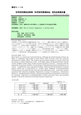 研究成果報告書