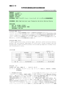様式 C-19 科学研究費補助金研究成果報告書 科学研究費補助金研究