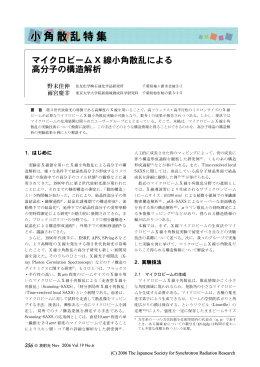 マイクロビーム X 線小角散乱による 高分子の構造解析