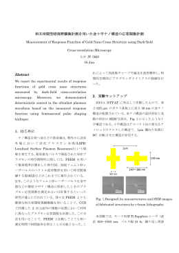 相互相関型暗視野顕微計測を用いた金十字ナノ構造の応答関数計測