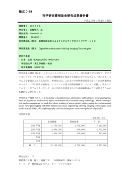 様式 C-19 科学研究費補助金研究成果報告書 - KAKEN