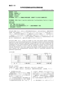 様式 C-19 科学研究費補助金研究成果報告書 - KAKEN