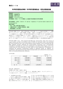 研究成果報告書