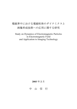 電磁界中における電磁粒体のダイナミクスと 画像形成技術